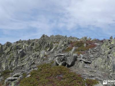 Pico Ocejón[Ruta Clásica]-Sierra de Ayllón;excursiones singles campos lavanda rutas por los arribes 